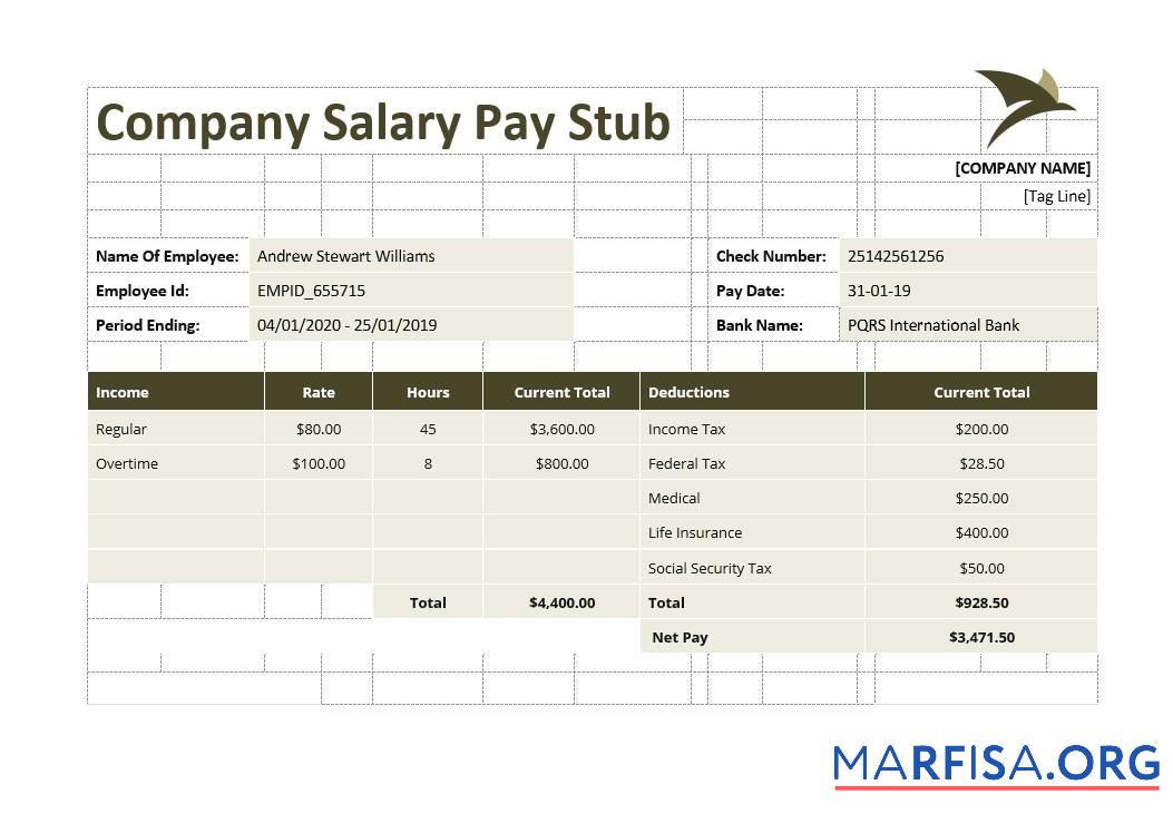 Printable Company Salary Pay Stub example